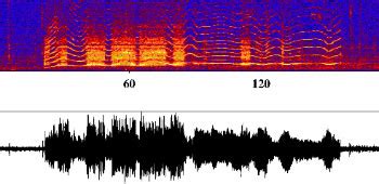 Acoustics Monitoring Program - Icequakes (Bloop)