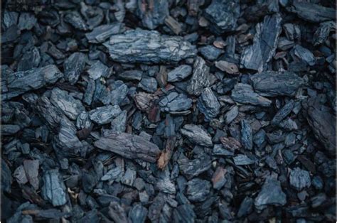 The Coal Price Has Skyrocketed In 2021 What It Means For Net Zero