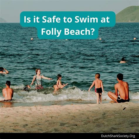 Does Folly Beach Have Sharks