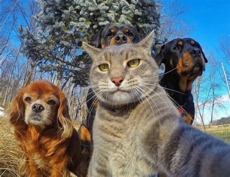 Selfie With The Gang R Mademesmile