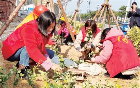 平潭多地开展义务植树活动 为家园再添一抹新绿 平潭 文明风