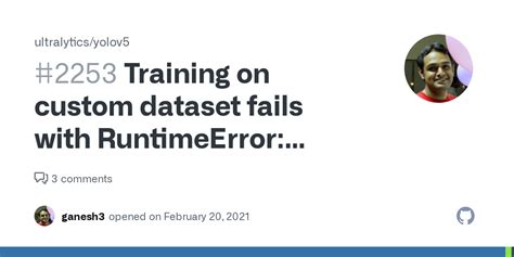 Training On Custom Dataset Fails With Runtimeerror Nccl Error