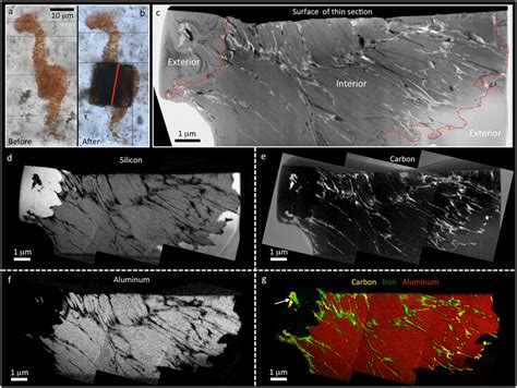 Changing The Picture Of Earth S Earliest Fossils 3 51 9 Ga With New