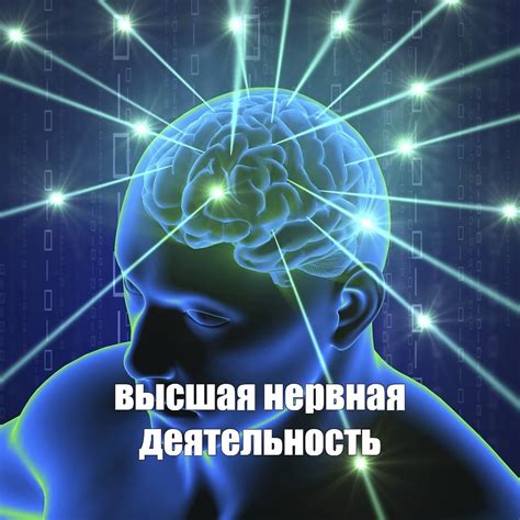 Создать мем "высшая нервная деятельность, человеческий разум ...
