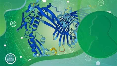 2024 Nobel Prize Predictions Chemistry Glori Batsheva