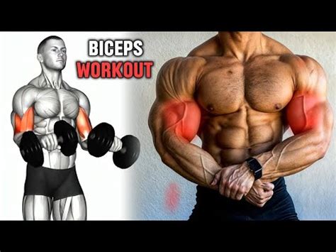 Best Exercises For Wider Biceps Biceps Workout Youtube