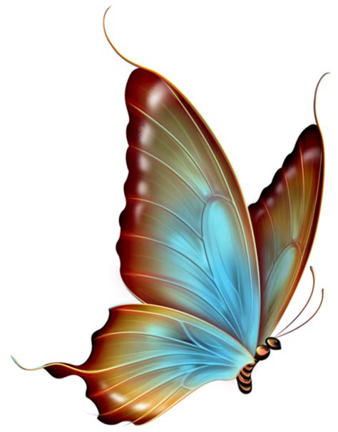 high quality butterfly clip art transparent background