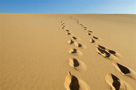 Royalty Free Footprint Pictures Images And Stock Photos Istock