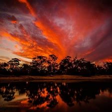 River Trees Viewes Flourishing Nice Wallpapers 1680x1260