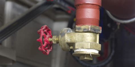 Role And Requirements Of Fire Sprinkler Backflow Preventers Essential Guidelines For Safety