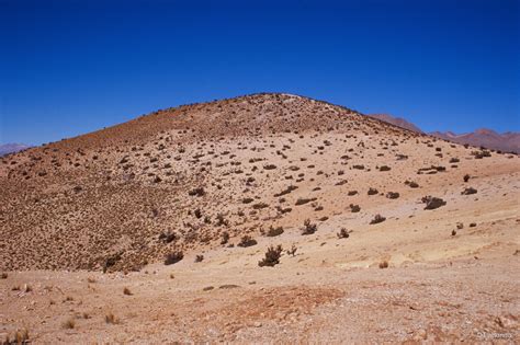 Ecosistema Terrestre Matorral Bajo Tropical Andino De Parastrephia