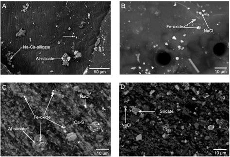 Images taken using scanning electron microscopy (SEM). Backscatter ...