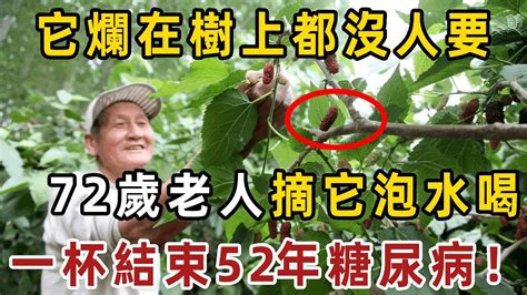 它是糖尿病的天敵，卻爛在樹上都沒人要！72歲老人摘它泡水喝，一杯血糖從98降到40，結束了52年的糖尿病【健康管家】 Youtube