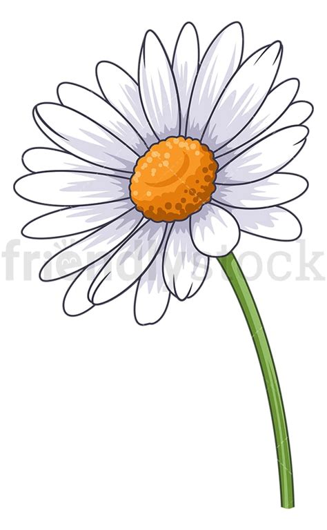 Common Daisy Flower Cartoon Clipart Vector - FriendlyStock