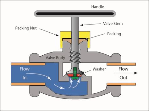 Globe Valve