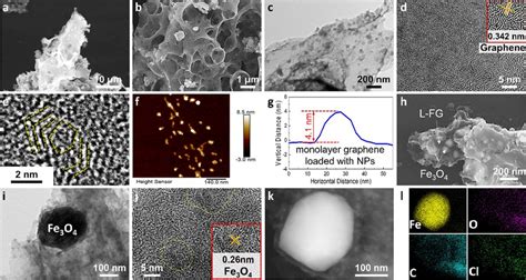 Morphology And Composition Characterization Of L Fg Ab Sem Of L Fg