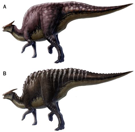 Saurolophus - DinoPit