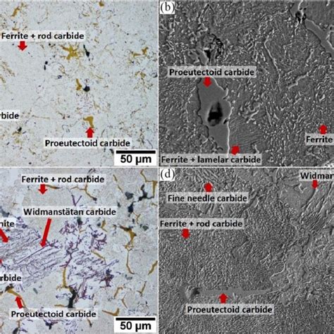 Color Tinted Om Images Of Sintered A C And C C Alloys And Sem