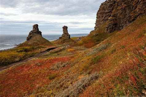 Самый крупный материк Земли: какой из них самый большой по площади в мире