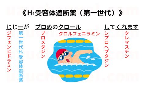 【ゴロ】h₁受容体遮断薬（第一世代） ゴロナビ〜薬剤師国家試験に勝つ〜