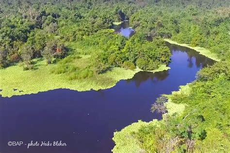 Lago De Izabal Guatemala Bap