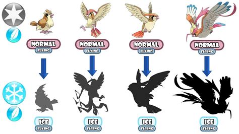 Pokemon Pidgey Evolution Chart