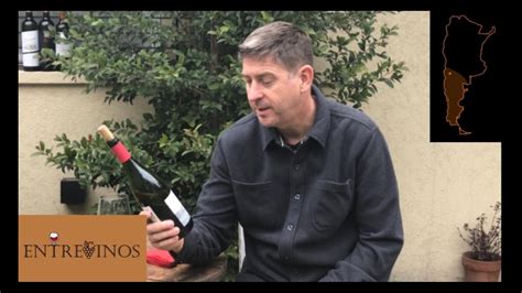 Neuquén Vino Saurus Pinot Noir 2019 Lo probamos YouTube