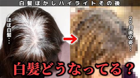 【白髪ぼかしその後】白髪ぼかしハイライトから2ヶ月後の姿がこちら 白髪染め40代50代 Youtube