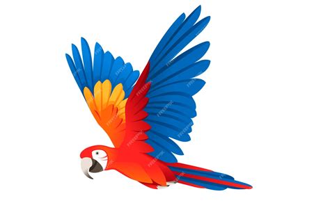 Loro adulto de guacamayo rojo y verde ara volando (ara chloropterus ...