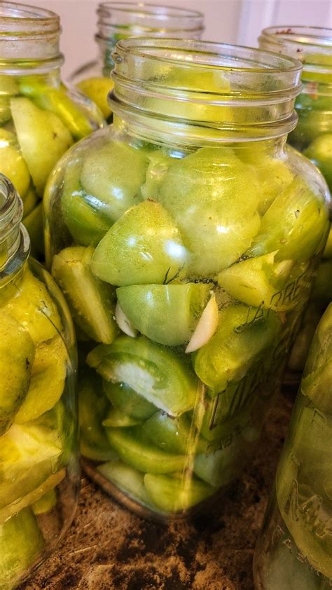 Pickled Green Cherry Tomatoes Recipe Artofit