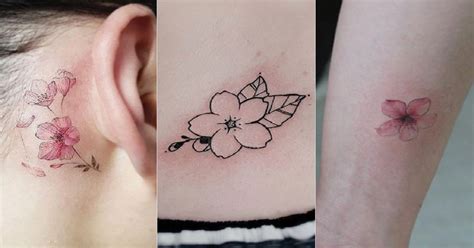 Cherry Blossom Tattoo Meaning: A Guide To Design & Symbolism