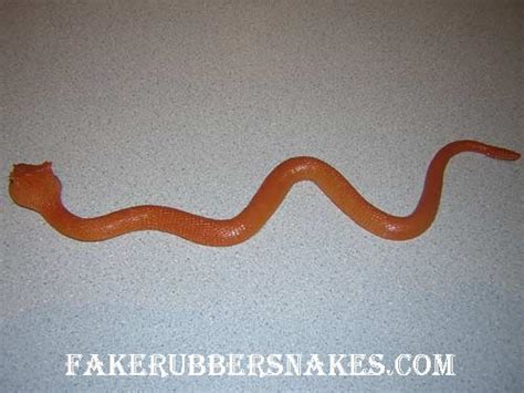 Fake Snakes Straight