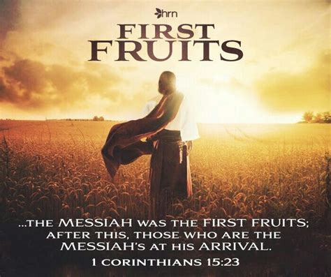 17 Best Images About Bikkurim Feast Of Firstfruits On Pinterest