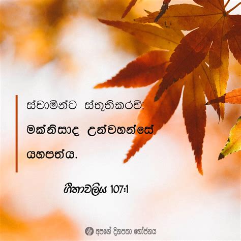 Share Odb Sinhala Our Daily Bread