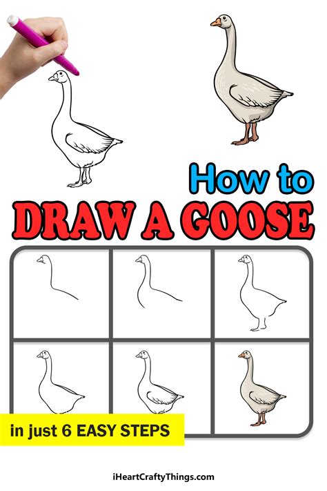 How To Draw Goose Step By Step Rocha Noreed