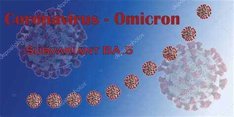 La Variante Ba Del Omikron Se Convierte En Cepa Dominante En Muchos