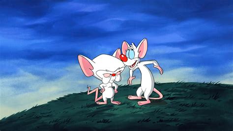 Screen Shot Cartoon Grass Mouse Pinky And The Brain Animated