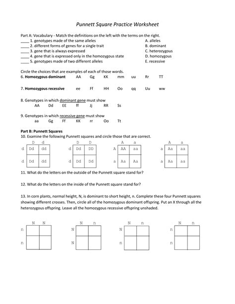 Printable Punnett Square Practice Worksheet