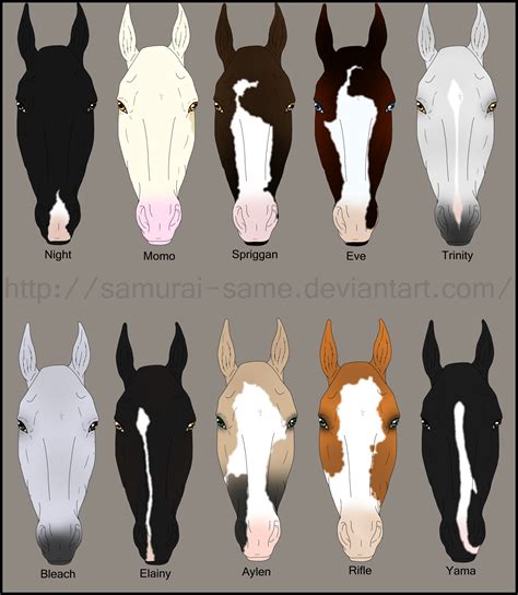 Horse Face Markings Chart