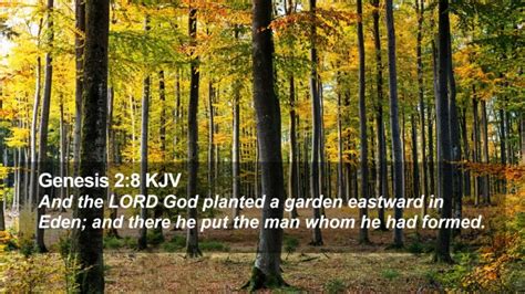 Genesis Kjv Desktop Wallpaper And The Lord God Planted A Garden