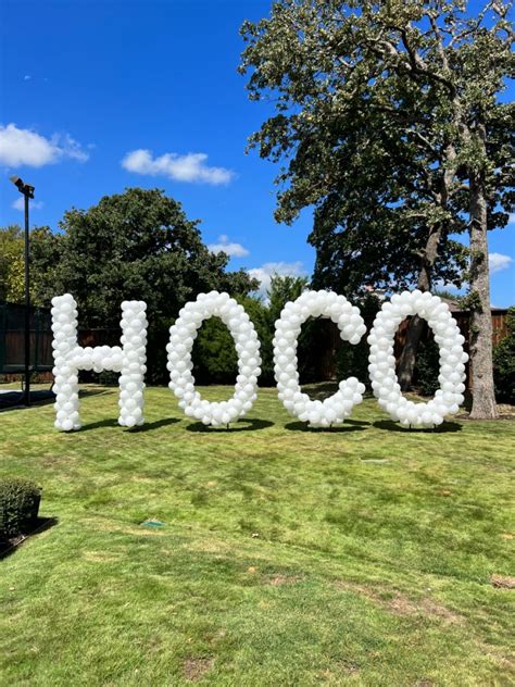 HOCO yard letters | Lettering, Letter balloons, Balloons