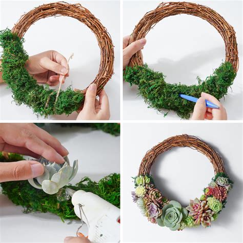 Live Succulent Wreath Diy Kit The Next Gardener Thenextgardener