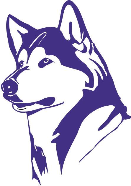 37 UW Husky ideas | uw huskies, husky, washington huskies