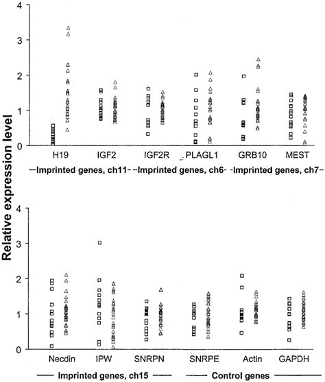 Relative Expression Level Of Imprinted Genes In Airway Epithelium Of