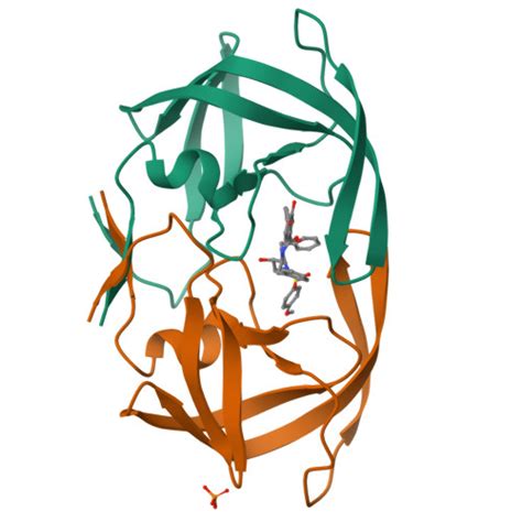 Rcsb Pdb Sab Crystal Structure Of Wild Type Hiv Protease In