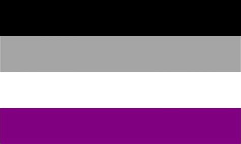 Asexual Flags Pride Products By The Flag Shop