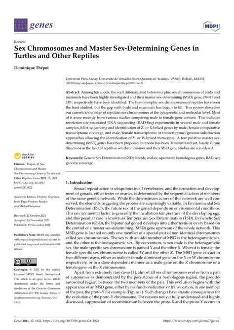 PDF Sex Chromosomes And Master Sex Determining Genes In Turtles And