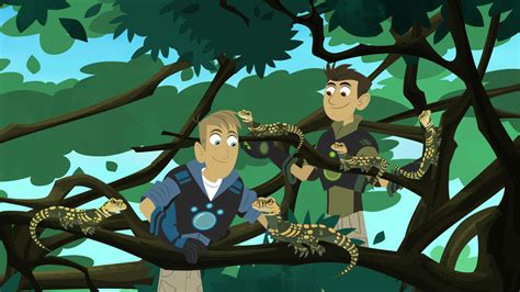 Discover 65 Wild Kratts Wallpaper Super Hot In Cdgdbentre