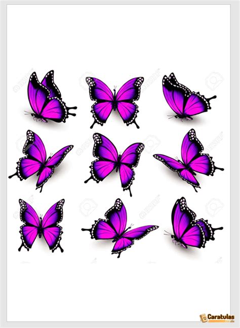 Plantillas Moldes De Mariposas Descarga Gratis