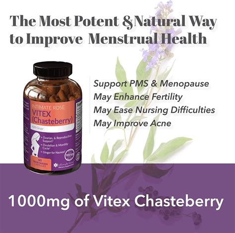 Vitex Chasteberry Supplement For Women Fertility Support Hormone Balance Pms Relief Pmdd